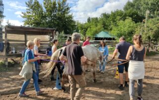 Pferdegestützte Seminare – ganz besonders nachhaltig!